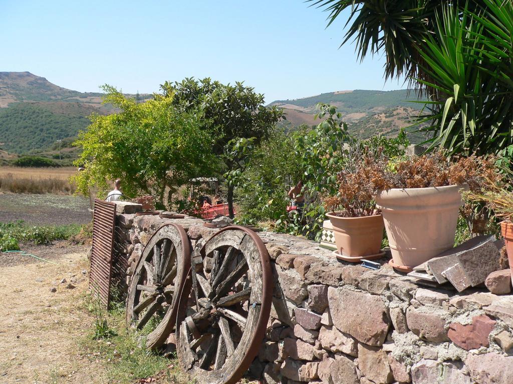 Agriturismo Sa Tanca Noa Tergu Luaran gambar