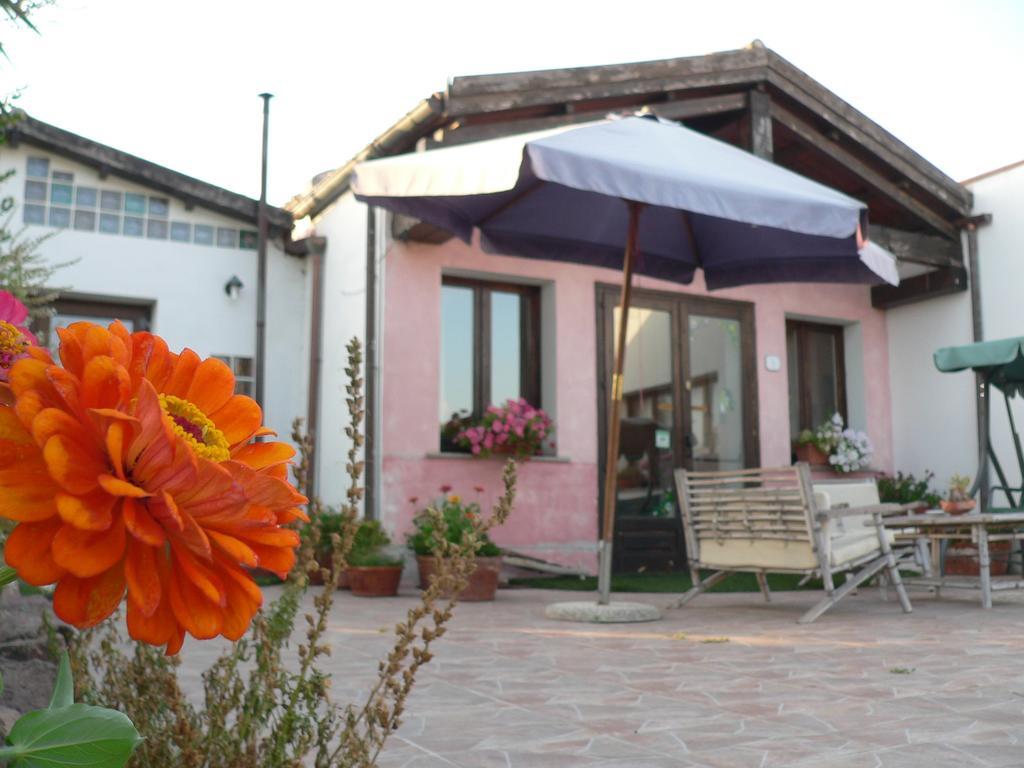 Agriturismo Sa Tanca Noa Tergu Luaran gambar
