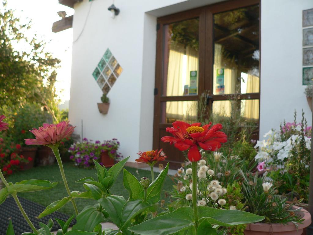 Agriturismo Sa Tanca Noa Tergu Luaran gambar