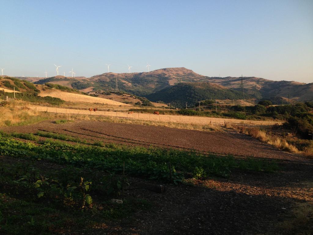 Agriturismo Sa Tanca Noa Tergu Luaran gambar