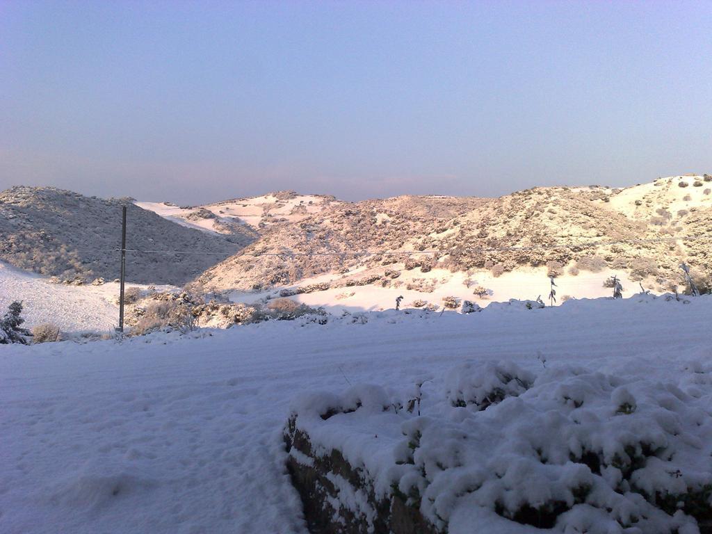 Agriturismo Sa Tanca Noa Tergu Luaran gambar