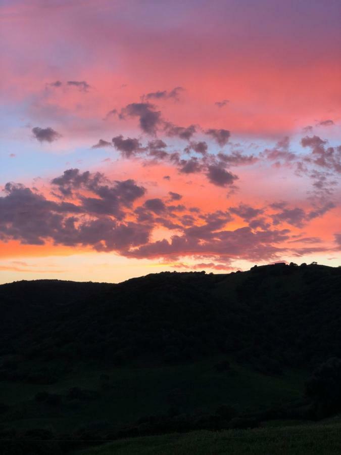 Agriturismo Sa Tanca Noa Tergu Luaran gambar