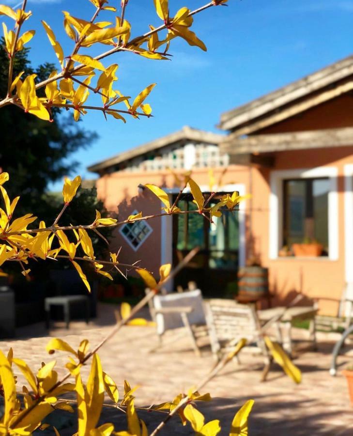 Agriturismo Sa Tanca Noa Tergu Luaran gambar