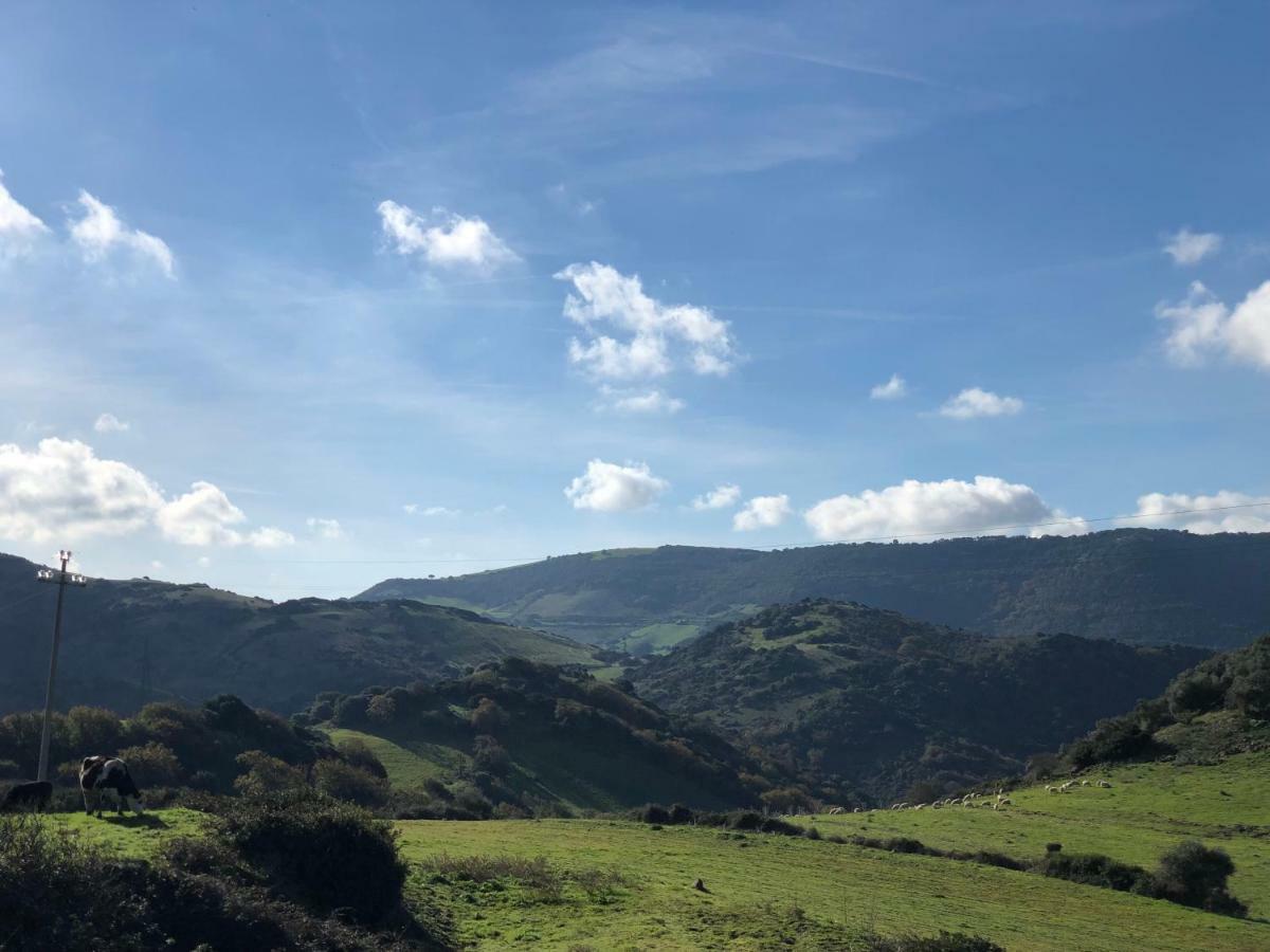 Agriturismo Sa Tanca Noa Tergu Luaran gambar