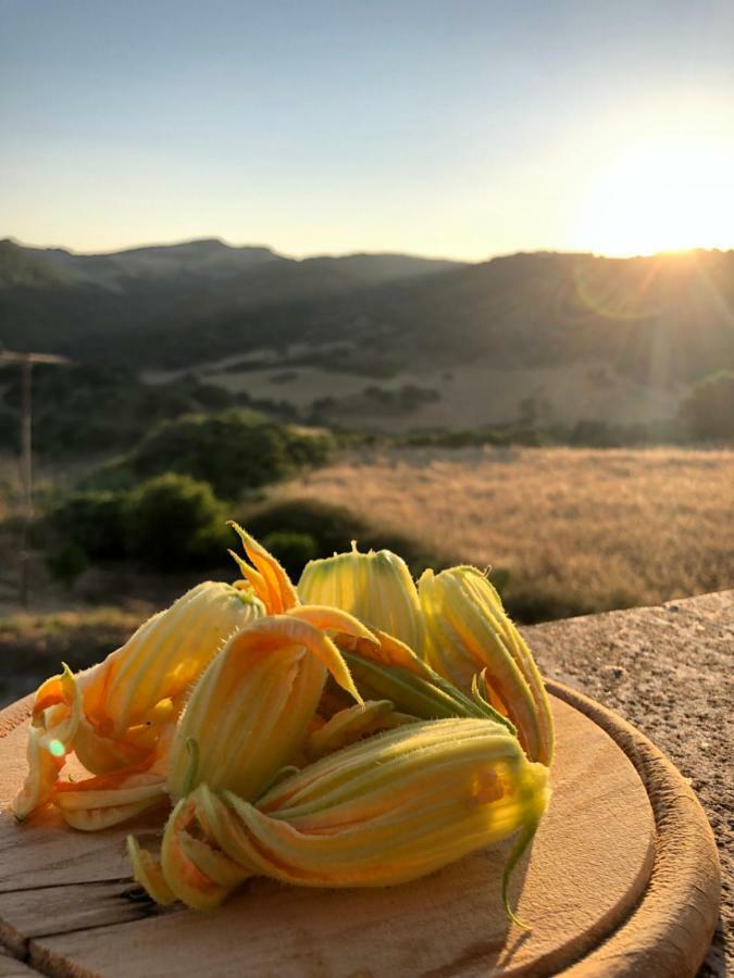 Agriturismo Sa Tanca Noa Tergu Luaran gambar