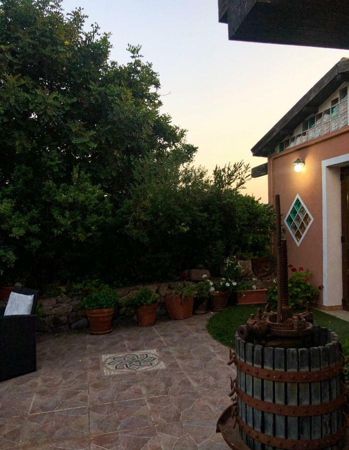 Agriturismo Sa Tanca Noa Tergu Luaran gambar